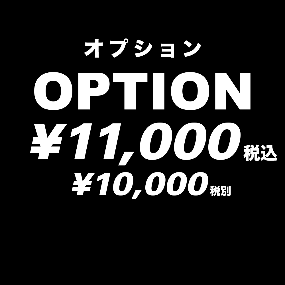 オプション ¥11,000 (¥10,000 税別)