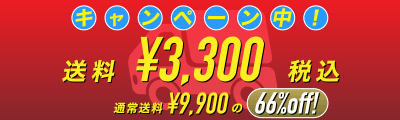 送料キャンペーン中